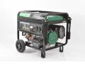  (220 )  Iron Angel EG 8000 E   